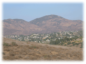 Coastal Sage Scrub Habitat
