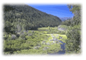 Upper Hat Creek Valley